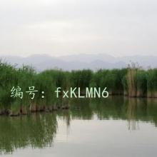 ͨ