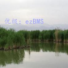 Ҫ