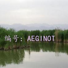 Ҫ