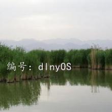 ȷ