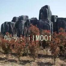 ʵ